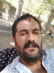 Sezgin , 42 года, Tokat