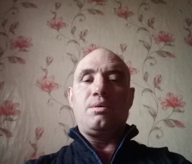 Сергей, 42 года, Хабары