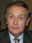 Лев Николаевич, 74 года, Москва