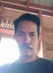 Wawan, 48 лет, Kota Palangka Raya