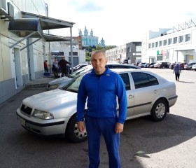 Владимир, 46 лет, Нижний Тагил