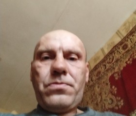Александр, 46 лет, Коломна