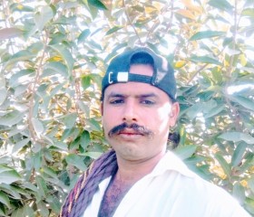 Ashafiq ali Lagh, 29 лет, Fremont (State of California)
