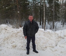 Иван Виндимут, 68 лет, Новосибирск