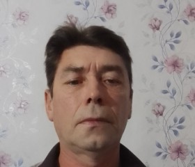 Дмитрии́, 49 лет, Куеда
