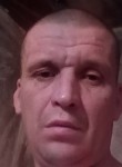 Александр, 46 лет, Петрозаводск