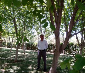 Ali can, 28 лет, Diyarbakır