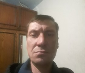 Алексей, 46 лет, Ванино
