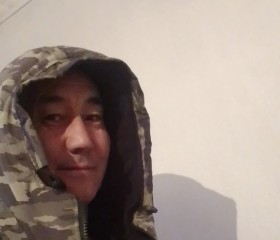 Токи, 43 года, Бишкек