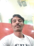 Naseem Khan, 29 лет, Bangalore