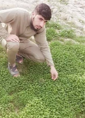 hamza, 23, جمهورئ اسلامئ افغانستان, جلال‌آباد