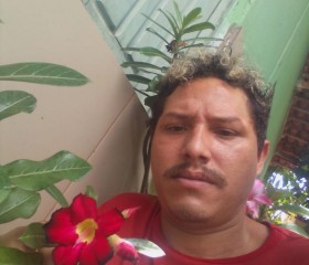Alessandro, 32 года, Recife