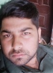 Amjad, 27 лет, Shimla