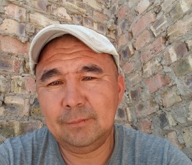 Almaz, 46, Bishkek