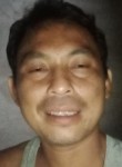 Nery, 35 лет, Kota Surabaya