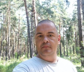 Николай, 44 года, Екатеринбург
