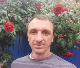 Андрей, 49 лет, Динская