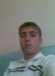 Sarvar Suxanov, 37 лет, Toshkent