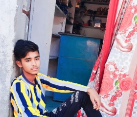 Arish ali, 24 года, New Delhi