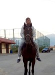Камил, 37 лет, Toshkent