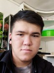 Ali, 23, Bishkek
