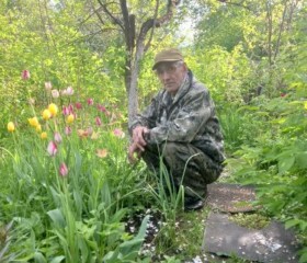 Aleksandr, 74, Sovetsk (Kaliningrad)