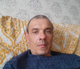 Николай, 46 лет, Омск