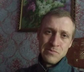 серёгин, 45 лет, Верхнеднепровский