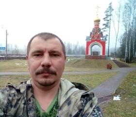Анатолий, 45 лет, Лепель