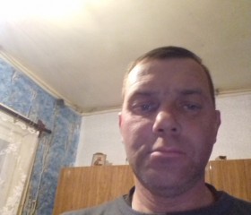 Иван Брызгалов, 42 года, Киров (Кировская обл.)
