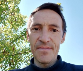 Виктор, 44 года, Казань