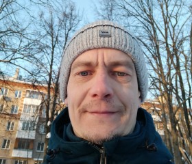 Алексей Зорин, 44 года, Москва