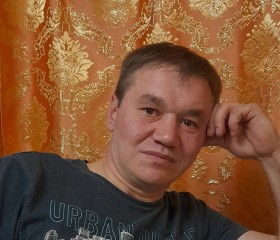 Серж, 46 лет, Вологда