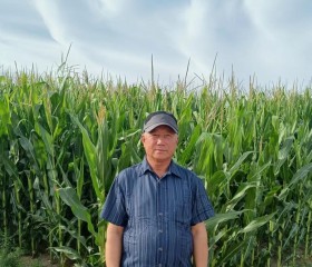 红山参, 66, Tongliao