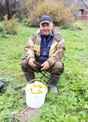 Александр зэ, 74, Россия, Архангельск