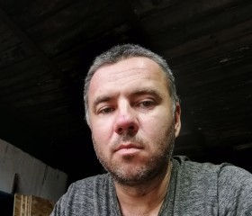 Алексей Романов, 42 года, Александров