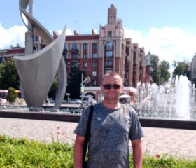 Владимир, 43 года, Нижний Тагил