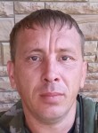 Михаил Поляшов, 38 лет, Нижний Новгород