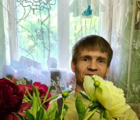 Иван, 39 лет, Коломна