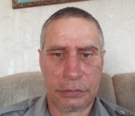 Вячеслав, 51 год, Куртамыш