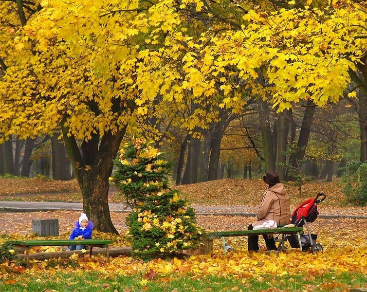 В парк пришла осень. Фотография сюжет в парке. Ходит осень в парке картинка. Нежная теплая осень в городе фото. В осеннем саду Пугачева.