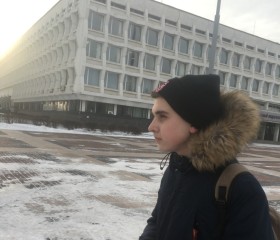Артем, 23 года, Ульяновск