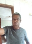 Luis Monsueto, 50 лет, Viçosa (Minas Gerais)