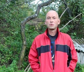 Андрей, 45 лет, Путивль