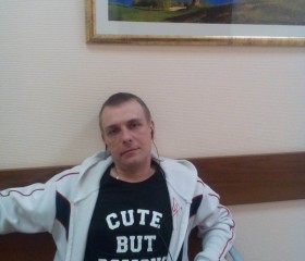 Юрий, 41 год, Пушкин