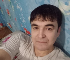 Амир, 41 год, Санкт-Петербург