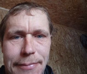 Василий, 36 лет, Скопин