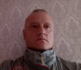 Олег, 49 лет, Струнино