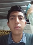 Aldo, 24 года, Poza Rica
