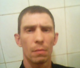 Роман, 37 лет, Кострома